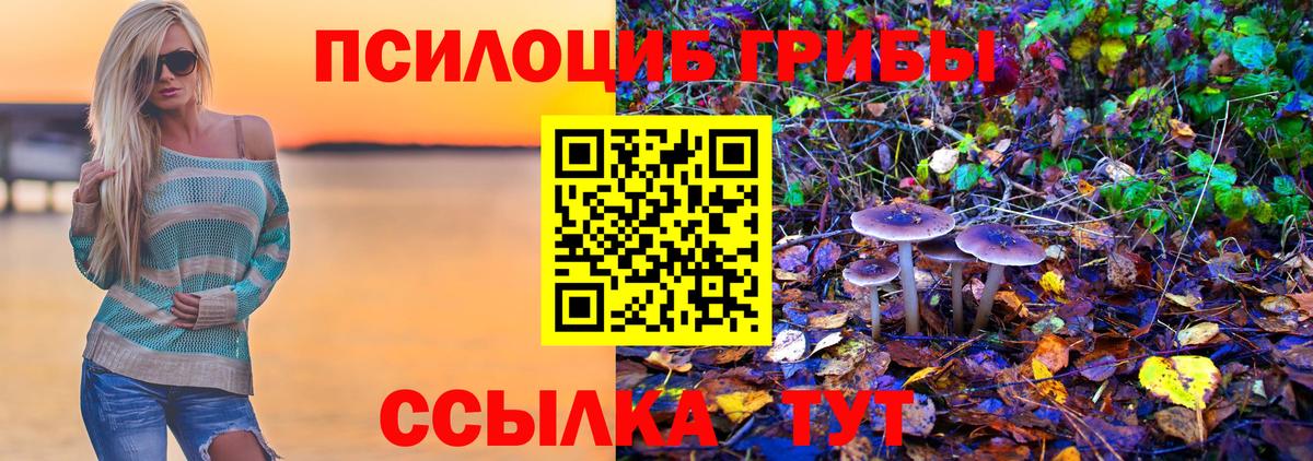 Химки  Псилоцибиновые грибы Magic Shrooms  Вход с VPN 